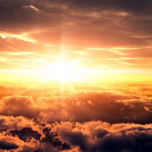 Meet your Posher, Candice